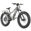 QuietKat Apex 1000W E-Bike