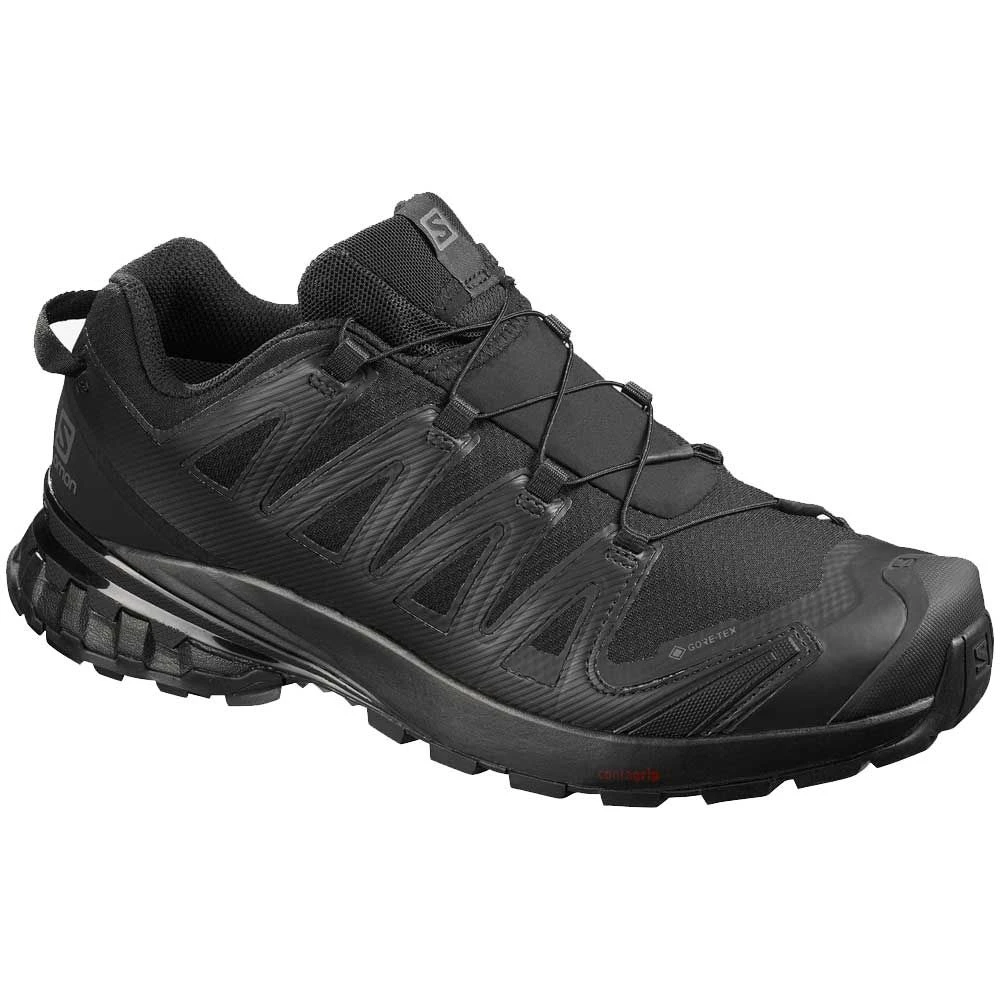 Salomon XA Pro 3D V8 GTX Hiking Shoes